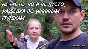 Не густо, но и не пусто. Разведка по Викиным грядкам. 25.07.26