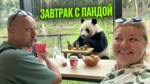 Путешествие в КИТАЙ! 🐼  Показываем главный заповедник панд в Чэнду