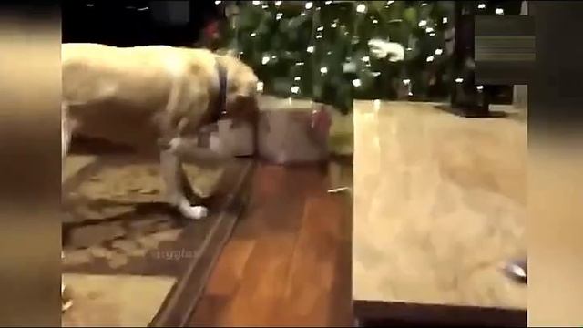 Всячинки смотреть онлайн