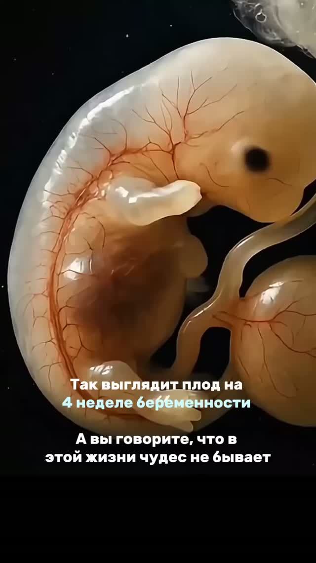 У меня много пользы, не забудь подписаться ❤️
