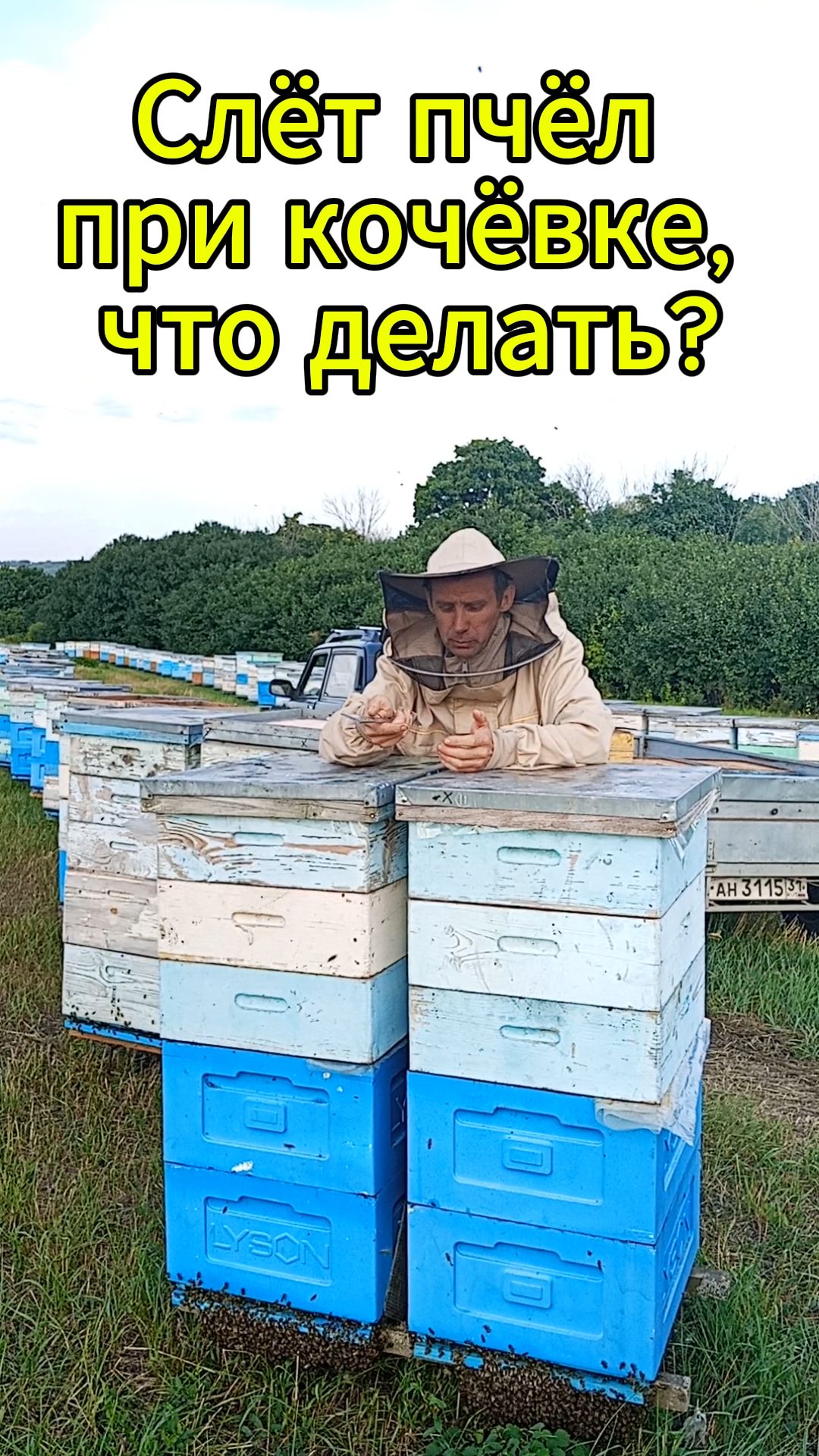 Необычный слёт пчёл на пасеке.