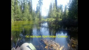 по малым притокам Сояны