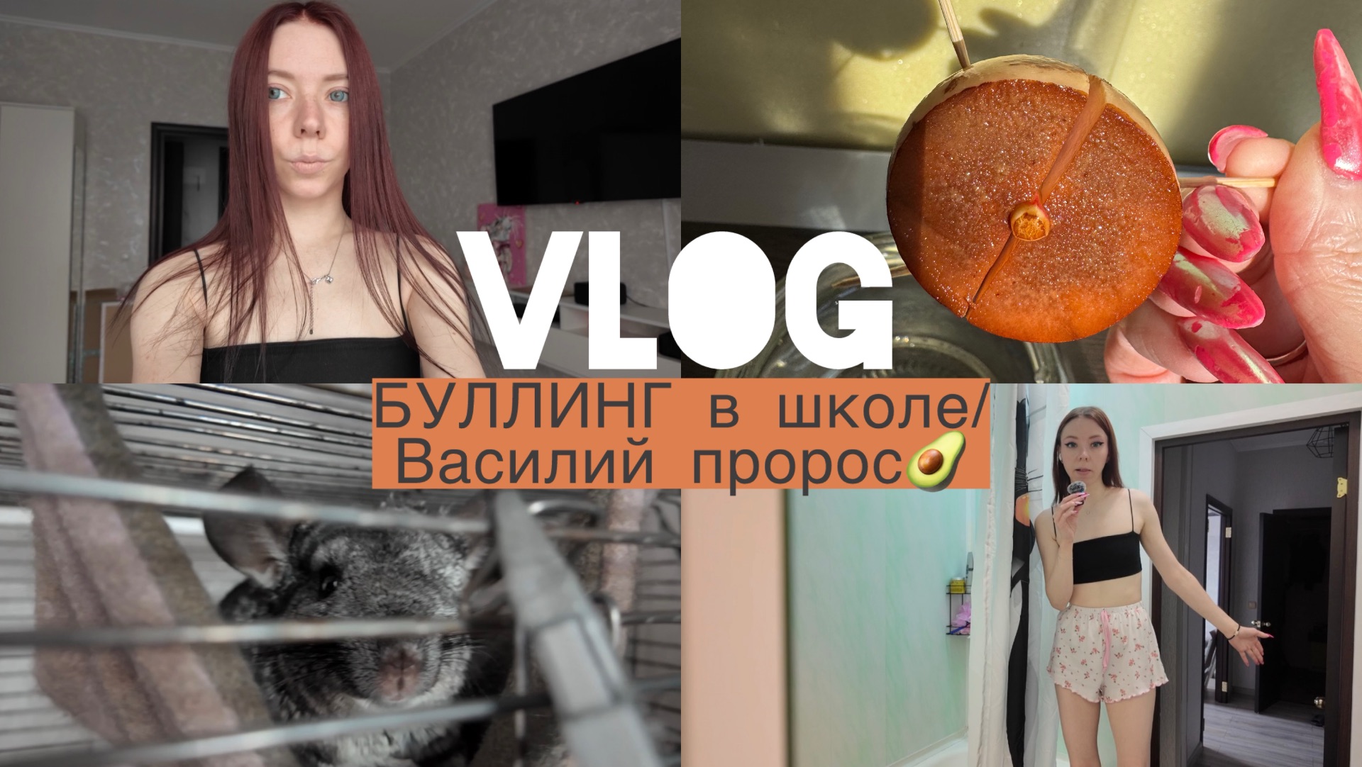 VLOG/БУЛЛИНГ в школе/Василий пророс🥑