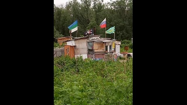 Парад знамен Parade of Standards смотреть онлайн