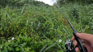 Мормышинг. Через дебри к окуням.