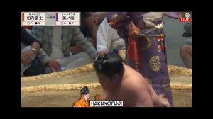 Nagoya Basho 2026 – Makuuchi Division Day 14 All Bouts! (Natto Sumo Version) Сумо на русском