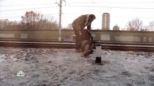 Леонид Каневский . золотая клетка