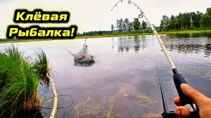 КЛЁВАЯ РЫБАЛКА с ОТЦОМ 2026. ЛОВЛЯ КАРАСЯ на ПОПЛАВОК!