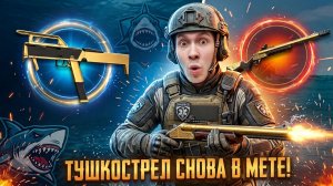 ТОТ САМЫЙ ТУШКОСТРЕЛ СНОВА В МЕТЕ? НОВАЯ ИМБА В WARFACE