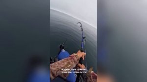 СВОБОДНЫЕ МУЖЧИНЫ ПОСМОТРИТЕ ЭТО ВИДЕО