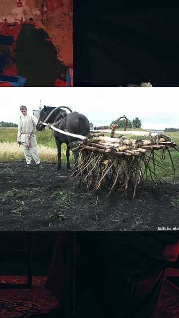 Как поймать ведьму? Смотри полную версию!