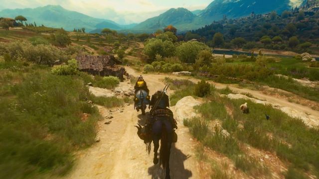 The.Witcher.3.B&W.S03E01.rus.1080p смотреть онлайн