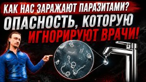 Как нас заражают паразитами? Опасность, которую игнорируют врачи!