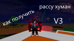Гайд на получение рассы в3 хуман в Blox fruits на 2026 год.