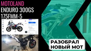 MotoLand  300 ENDURO GS (175FMM-5)