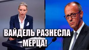 Разгром МЕРЦА! Вайдель выдала всё, что думает об Украине