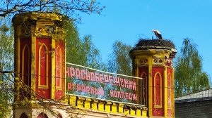 По дворцам и замкам Беларуси. Красный берег, в Беларусь на автобусе.