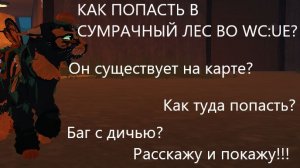|Как попасть в сумрачный лес во WC:UE?|Warrior Cats:Ultimate Edition|Туманная Заря|