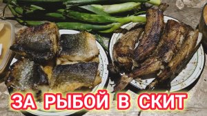 В СКИТ ЗА РЫБОЙ