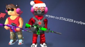 играю в кубум с STALKER и 5 каток в команды в кубум