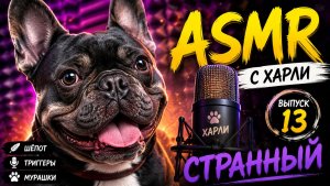Мультики для детей. АСМР «Кто там в банке?» Выпуск 13. Странный