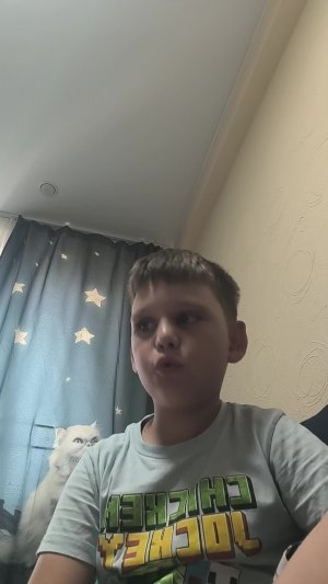 делаю обзор на Lego мини мир Minecraft