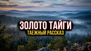 ЗОЛОТО ТАЙГИ | таежные истории