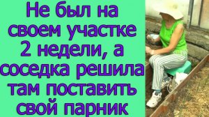 Не был на своем участке 2 недели, а соседка решила там поставить свой парник
