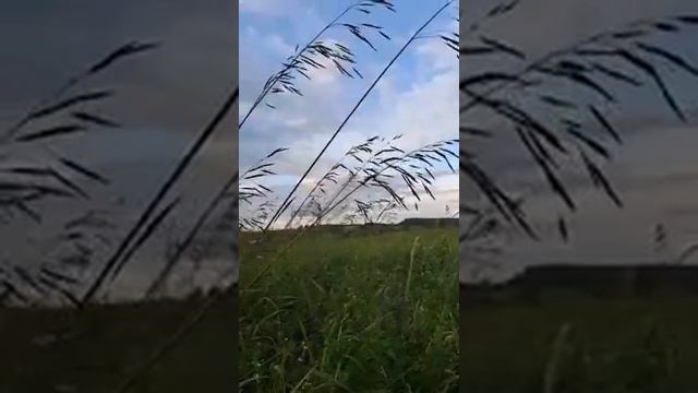РОЛИК ОТ ЛЮДМИЛЫ смотреть онлайн
