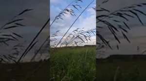 РОЛИК ОТ ЛЮДМИЛЫ