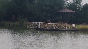 Ещё один карп в подсаке