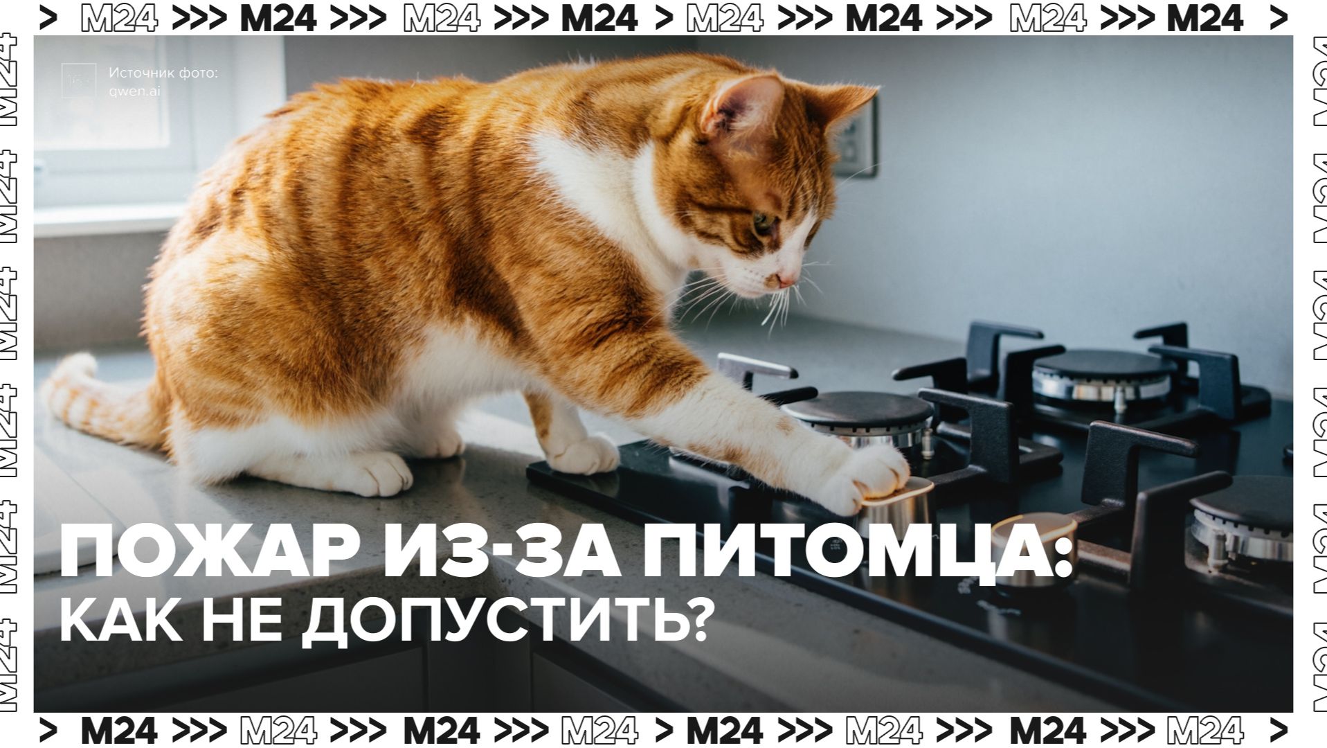 Пожар из-за питомца: как отучить кошку заходить на кухню? — Москва 24 | Контент смотреть онлайн