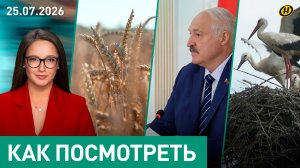 В АРМИЮ! Жесткие меры Лукашенко/ Зерно раздора: Украина или Россия?/ случайная гробница/ аисты