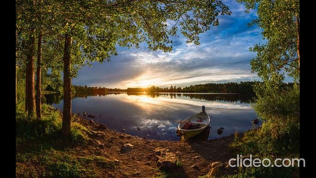 Летний лес смотреть онлайн