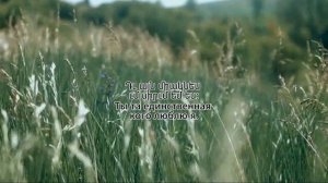 Сохрани  мои крылья