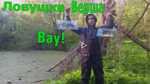 Ловушка верша с бутылок. Рыбалка на голавля. Голавль на майского жука.