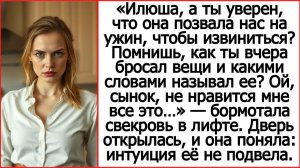Рассказы Андрея Белого про свекровь. Илюша, а ты уверен, что она позвала нас, чтобы извиниться?