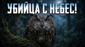 Почему совы — самые опасные хищники в лесу
