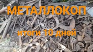 МЕТАЛЛОКОП/ИТОГ ДЕСЯТИ ДНЕЙ МЕТАЛЛОКОПА МД 4030/ОТЛИЧНОЕ ЖЕЛЕЗО СССР/АРХИВ/ДОПОЛНИТЕЛЬНЫЙ ЗАРАБОТОК