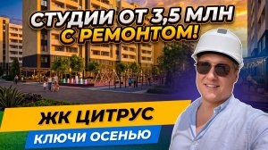 ЖК Цитрус Краснодар — студия с ремонтом от 3,5 млн, ключи в сентябре | Обзор