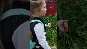 стрелялки