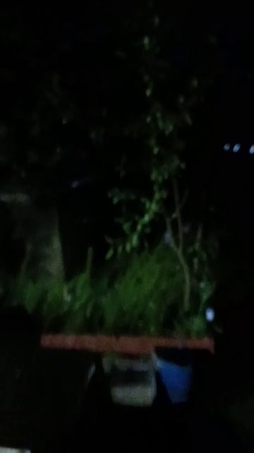 1000006520.mp4