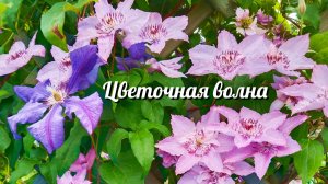 Цветочная волна. Дмитрий Шлапак