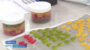 Ученые СКФУ нашли полезную замену привычным сладостям
