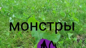 мои монстры#3