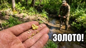 Каменная река! Разведка Золота!