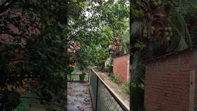 НОВАЯ ЖИЗНЬ. ПЕРВЫЕ 10 ДНЕЙ смотреть онлайн
