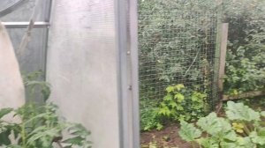 ДОЖДЬ ИДЁТ ☔,А ДОЖДЬ ИДЁТ ☔А Я🙋 ВСЕ ХВАЛЮСя☝️( с луны свалюсЯ)🤣