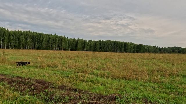 дуп1_в_250726 смотреть онлайн