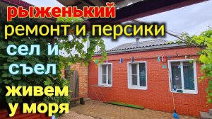 Курортный Ейск. Ножки как у козы рожки. Едим персики. Торт рыженький.